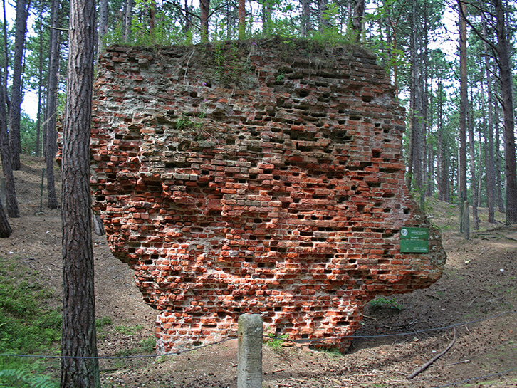 Ruiny kościoła św. Mikołaja